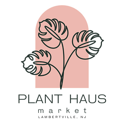 Plant Haus
